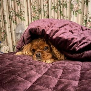 Meet your Posher, Liana